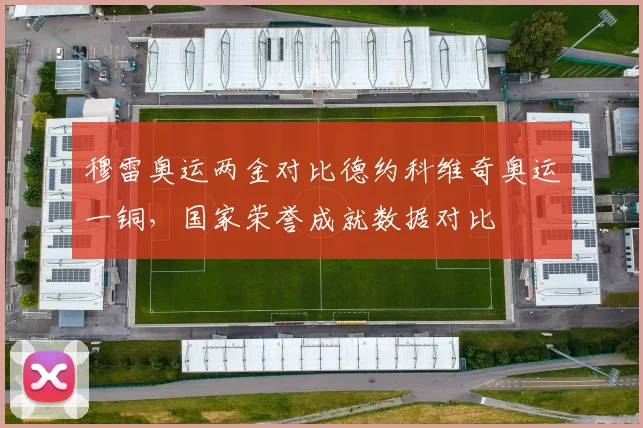 穆雷奥运两金对比德约科维奇奥运一铜，国家荣誉成就数据对比